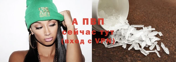 ГАЛЛЮЦИНОГЕННЫЕ ГРИБЫ Коряжма